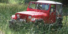 neba-jeep Neba