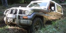 paula-toyota Paula